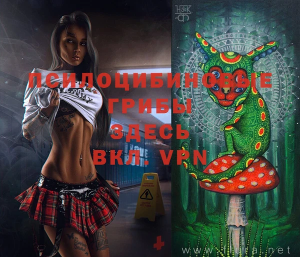 MDMA Premium VHQ Новозыбков