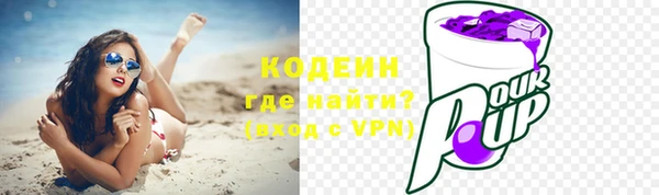 прущие грибы Абинск