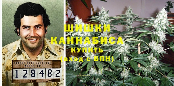 прущие грибы Абинск