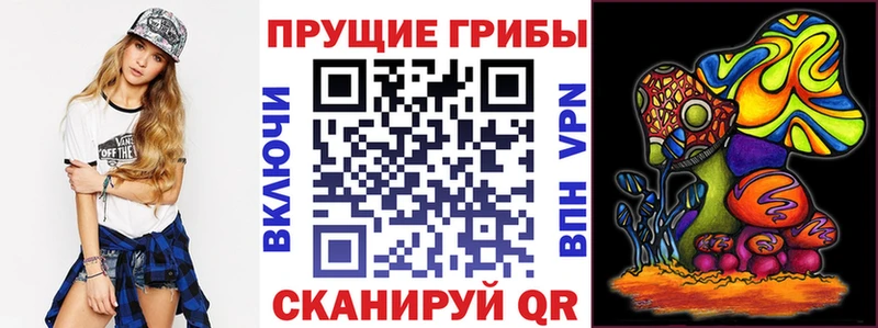 Псилоцибиновые грибы GOLDEN TEACHER  ссылка на мегу tor  Алейск 